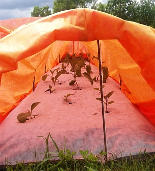 Агротекс двойная защита Красно-желтый 40, 3,0*100 м, рул