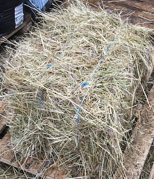 Сено луговое, тюк