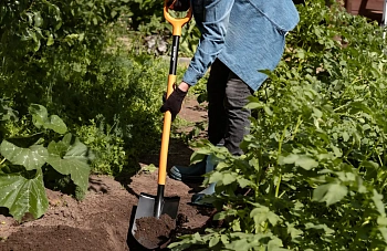 Plantic Лопата штыковая Terra Plus, арт 11011-01, шт