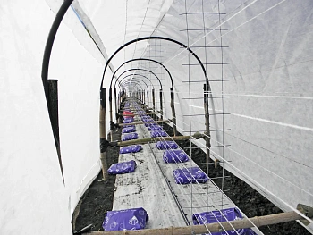 Агротекс тройная защита водонепроницаемый арм. Белый 80, 3,0*100 м, рул