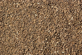 Сидерат Фацелия, 0,3 кг