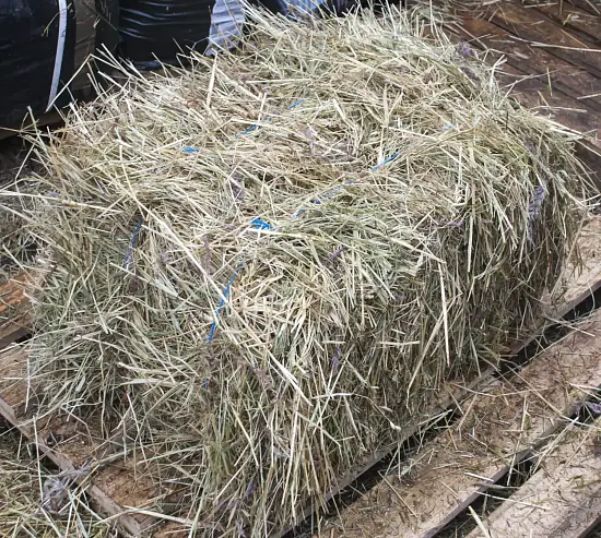 Сено луговое, тюк