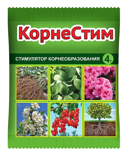 Корнестим стимулятор корнеобразования, пакет 10 г
