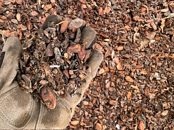 Скорлупа какао бобов(какао-велла), ~10 кг