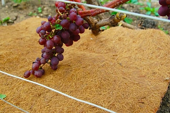 Nekura Укрытие кокосовое "Мульчаграм", 0,2 x 1,5 м, рул