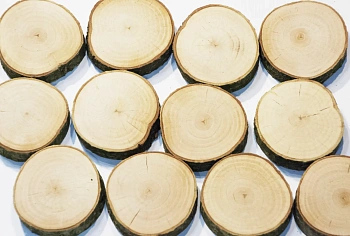 Спилы поквадратно ольха шлифовка БЕЗ коры (Ø 2-15см, h 1,5-2см), м.кв.