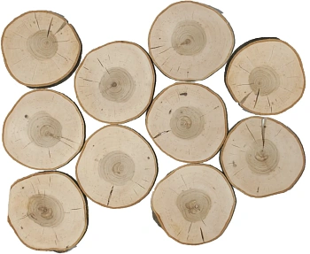 Спилы поквадратно черемуха шлифовка С корой, (Ø 2-15см, h 1,5-2см), м.кв.