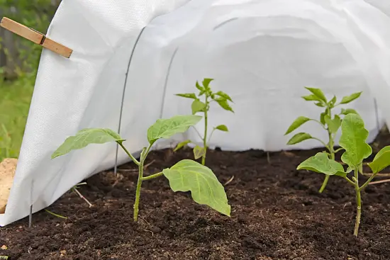 Агротекс Белый 42, 3,2*10 м, уп