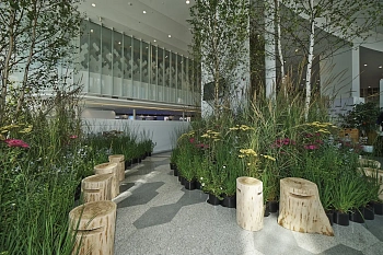 Табурет-чурбак дубовый, Ø 20-25, h 36-40 см