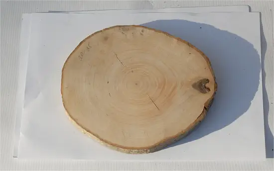 Спил ольха шлифовка СОлШ1 (Ø 20-25см, h 2см), шт