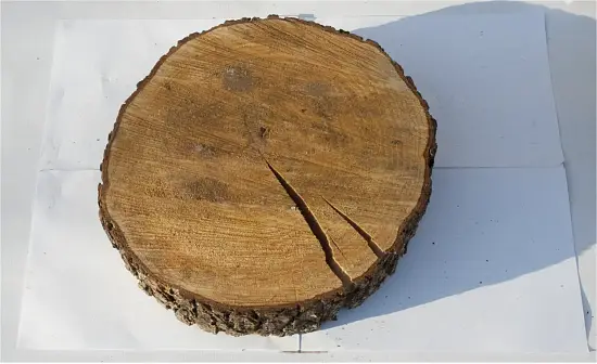 Спил ольха без шлифовки СОл (Ø 35-40см, h 8-10см), шт