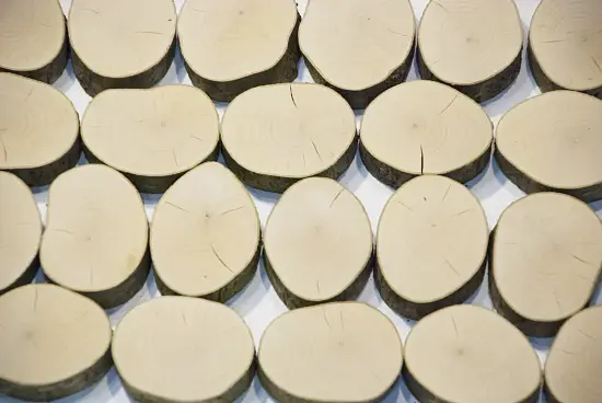 Спилы поквадратно орешник шлифовка БЕЗ коры, (Ø 2-15см, h 1,5-2см), м.кв.