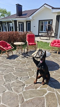 Костровая чаша «Глубокая SOLID» 1000 мм