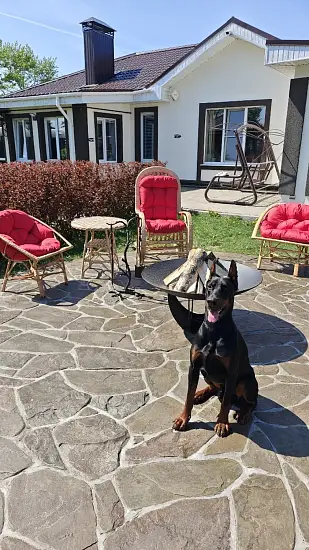 Костровая чаша «Глубокая SOLID» 1000 мм