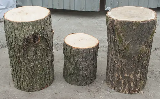 Чурбак дубовый, Ø 20-25, h 30 см