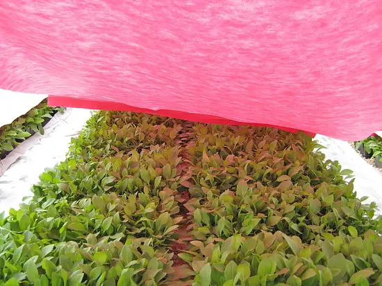 Агротекс двойная защита Бело-красный 60, 3,0*100 м, рул