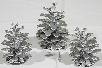 Шишка сосновая крупная поштучно, шт