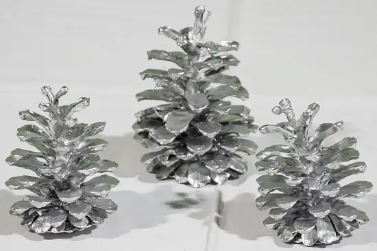 Шишка сосновая крупная поштучно, шт