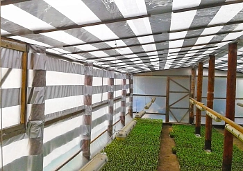 Агротекс Фольгированный укрывной материал 90, 1,6*5 м, уп