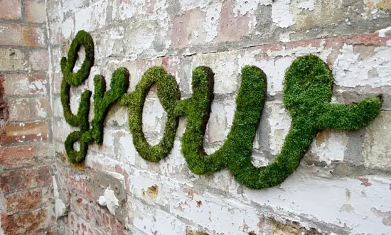 Мох натуральный, зеленый, лоток 30*40 см (без лотка), шт