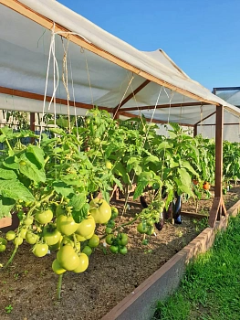 Агротекс Белый 60, 3,2*10 м, уп