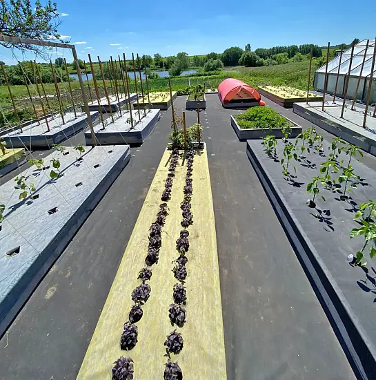 Агротекс двойная защита Желто-чёрный 80, 1,6*5 м, уп