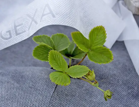 Агротекс Черный 60, 1,6*10 м, уп