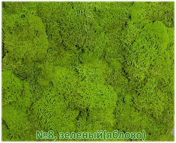 Мох стабилизированный №8 зеленое яблоко, 30*40 см, пак