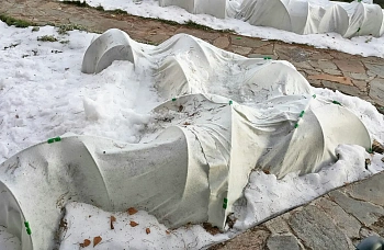 Агротекс Зимнее укрытие для кустарников в рулоне 200, Белый, 2,0*50 м, рул