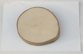 Спил осина шлифовка СОсШ1, (Ø 15-20 см, h 2см), шт