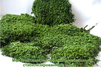 Мох пластами(лесной листостебельный), стабилизированный, м.кв 