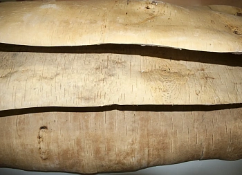 Береста в листах ( ~ 20 x 20 см), шт