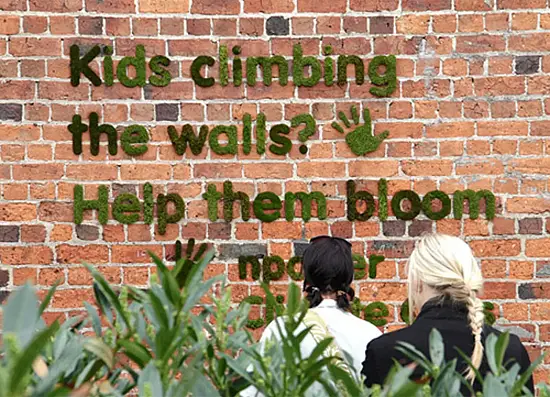 Мох натуральный, зеленый, лоток 30*40 см (без лотка), шт