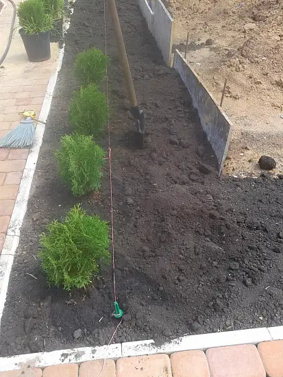 Чернозем, 40 л