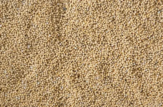 Сидерат Горчица, 0,5 кг