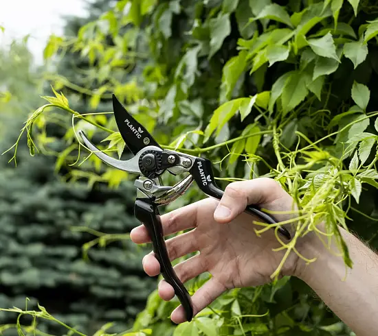 Plantic Секатор плоскостной Pro84, арт 35384-01, шт