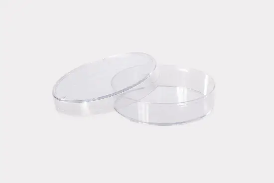 Емкость с крышкой для проращивания семян, Ø 60 мм, 12 шт/уп