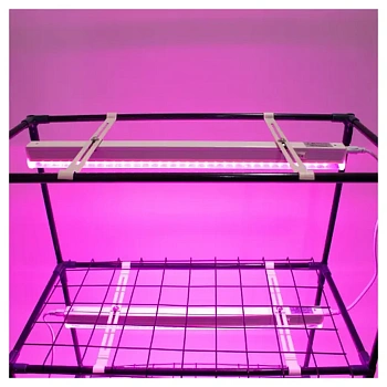 Светильник для растений Garden Show Маргарита красно-синий спектр 6.8 Вт, 380 мм