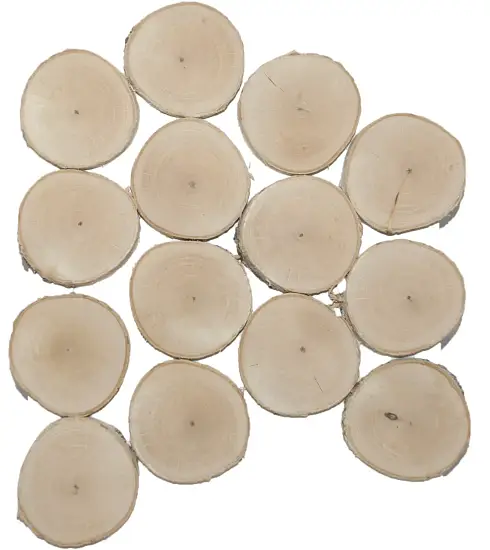 Спилы поквадратно береза шлифовка БЕЗ коры, (Ø 2-15см, h 1,5-2см), м.кв.