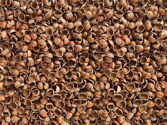 Скорлупа фундука (лесного ореха, лещины), 60 л