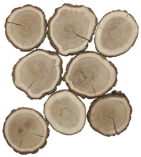 Спилы поквадратно дуб шлифовка С корой, (Ø 2-15см, h 1,5-2см), м.кв