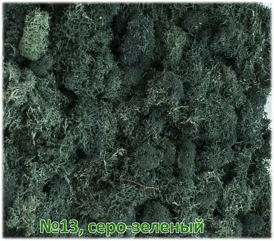 Мох стабилизированный №13 серо-зеленый, 30*40 см, пак