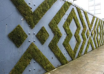 Мох натуральный, зеленый, лоток 30*40 см (без лотка), шт