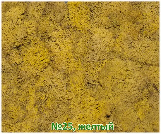 Мох стабилизированный №25 желтый, 30*40 см, пак