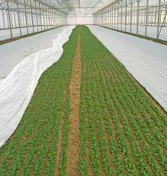 Агротекс Белый 30, 3,2*10 м, уп