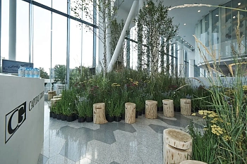 Табурет-чурбак дубовый, Ø 20-25, h 36-40 см