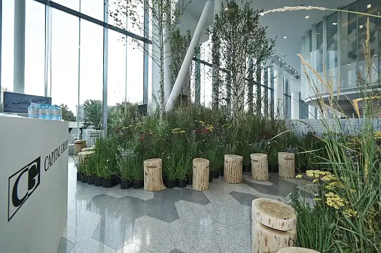 Табурет-чурбак дубовый, Ø 20-25, h 36-40 см