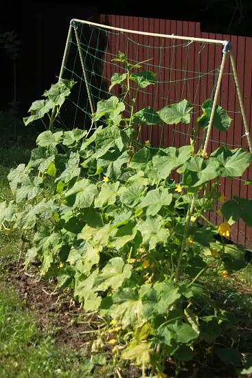 Шпалера для огурцов (двускатная), композитная, 200 * h 180 см, уп