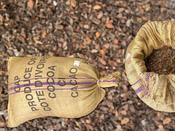 Скорлупа какао бобов(какао-велла), ~10 кг