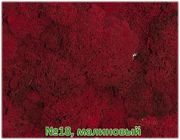 Мох стабилизированный №18 малиновый, 30*40 см, пак